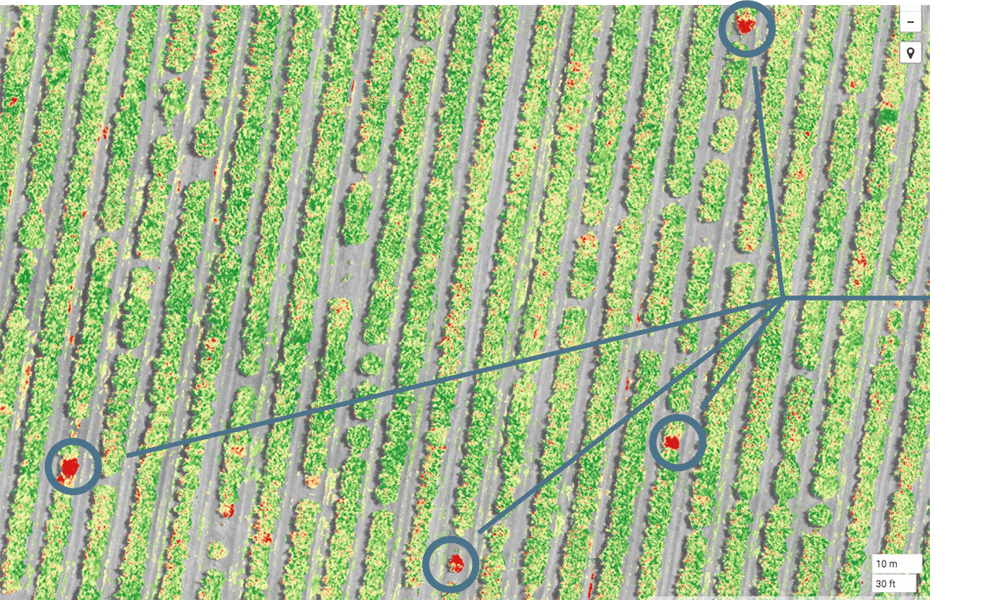 agrigultura dron mapa